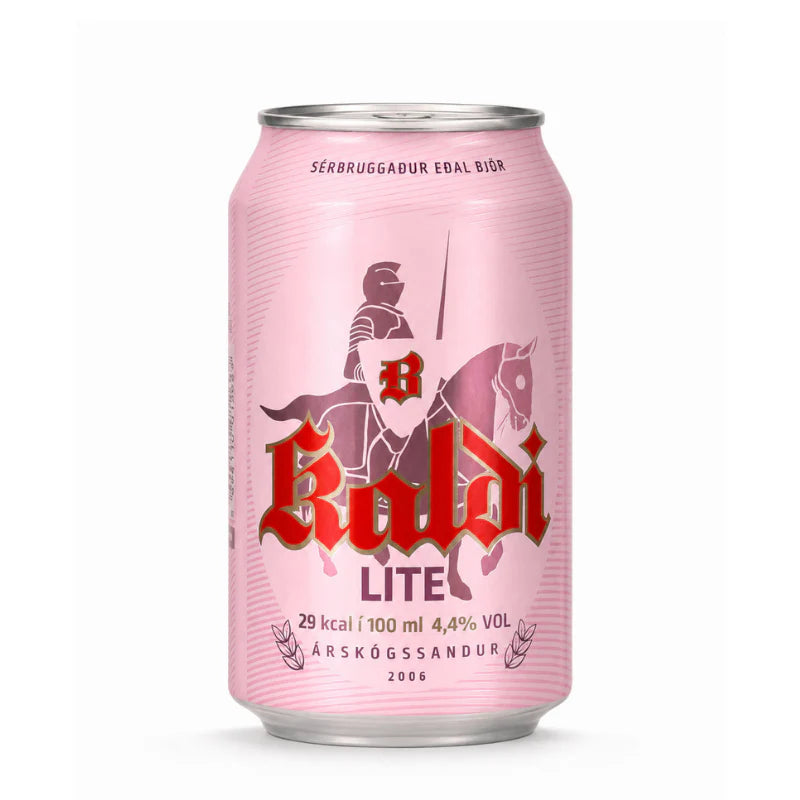 Kaldi Lite